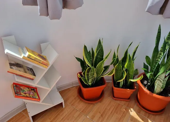 アパート 50mp コンスタンツァ