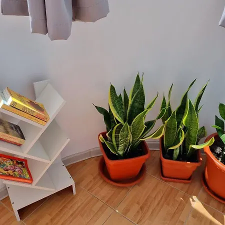 Apartment 50mp Constanta