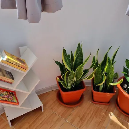 Apartman 50mp Konstanca